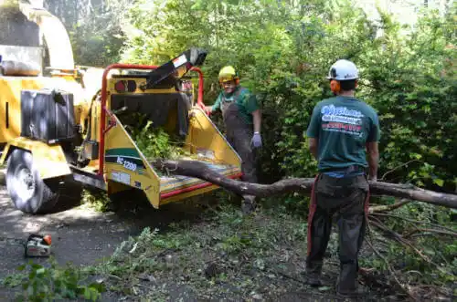 tree services Ponce de Leon